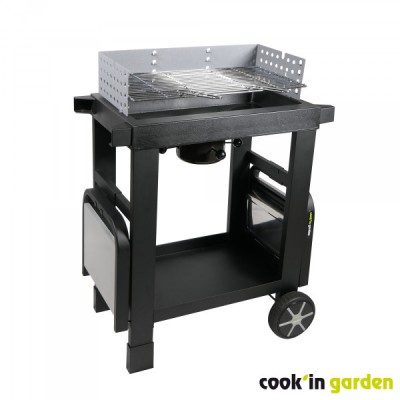 barbecue easy 60